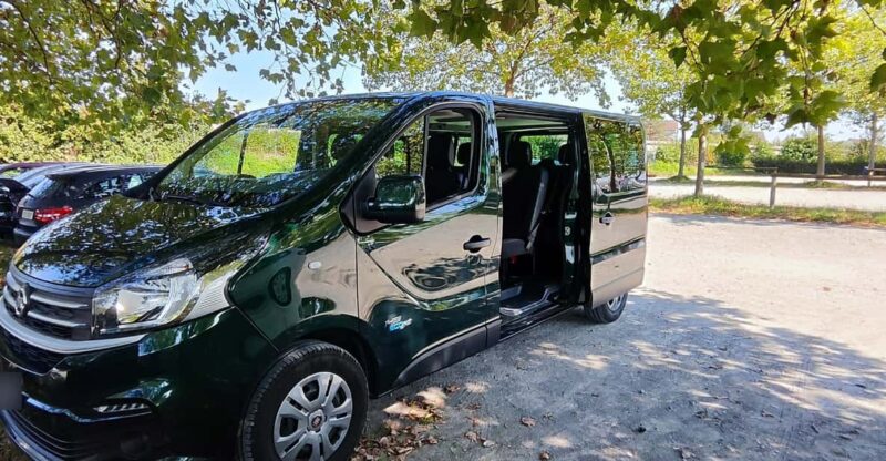Private Transfer Between Lucerne & Milan, Italy - Vehicle Capacity and Luggage Policy