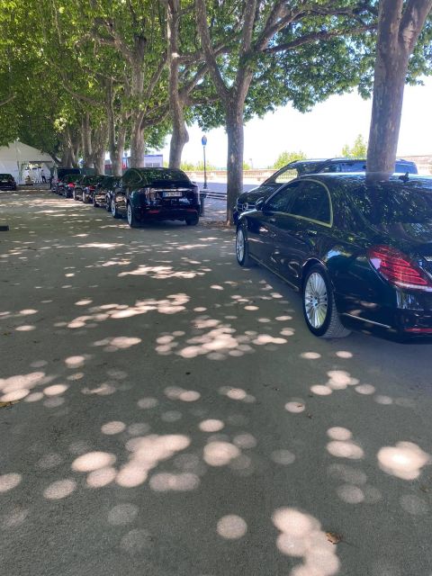Private Transfer Between Marseille Airport and Nice Airport - Accessibility Information
