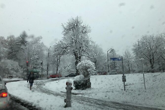 Private Transfer Between Salzburg Airport and Salzburg City - Vehicle Accommodations