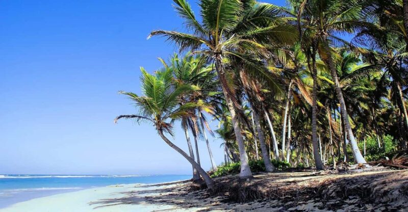 Private Transfer Breathless Punta Cana to SDQ - Key Points