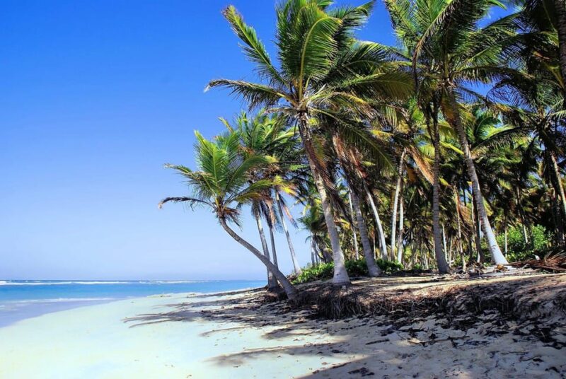 Private Transfer Breathless Punta Cana to SDQ - Transportation Features