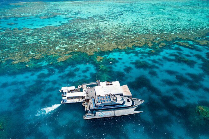 PRIVATE TRANSFER Cairns Airport  Port Douglas Minibus (6am-5pm) - Who Is This Transfer Best Suited For?