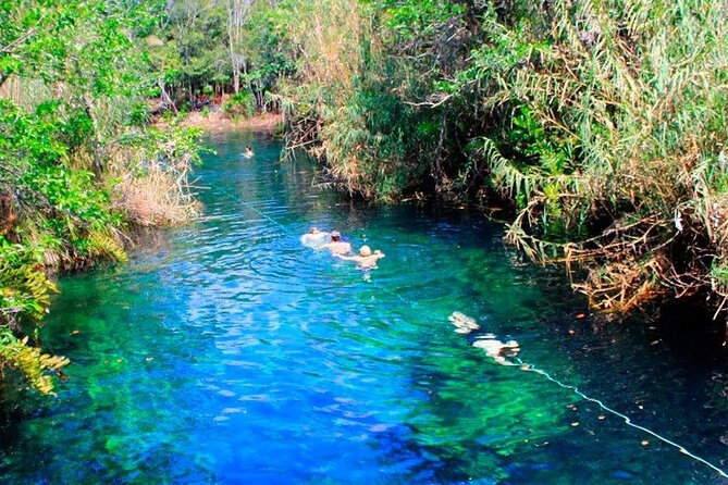 Private Transfer-Cancun Airport to Tulum Downtown - One Way - Accessibility and Participation