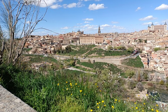 Private Transfer Car With Driver From Madrid to Airport - Overview and Details
