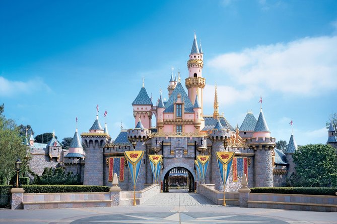 Private Transfer: Disneyland to Paris Airport CDG by Luxury Van - Accessibility and Eligibility Details