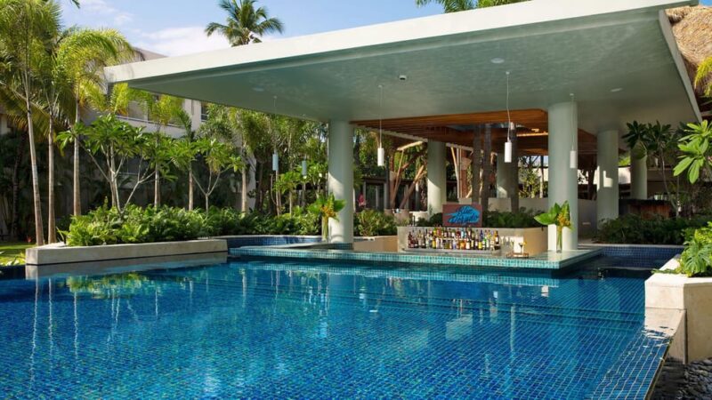 Private Transfer Dreams Royal Beach to Punta Cana Airport - Company Background