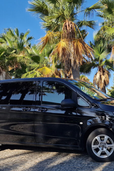 Private Transfer: Faro/Lagos to Tarifa/Gibraltar - Booking and Availability