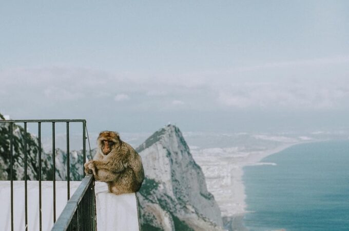 Private Transfer: Faro/Lagos to Tarifa/Gibraltar - Payment and Refunds