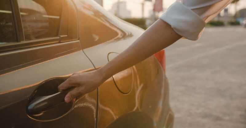 Private Transfer Fátima to Lisbon Airport - Driver and Vehicle Specifications