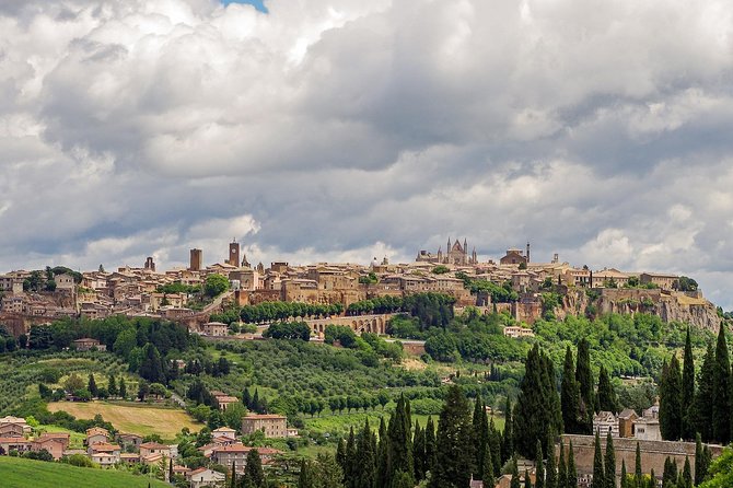 Private Transfer From Accommodation in ORVIETO to Accommodation in ROME - Pickup and Dropoff