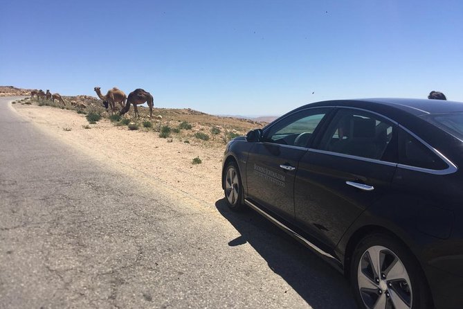 Private Transfer From Amman to Petra, Wadi Musa - Confirmation and Booking Details