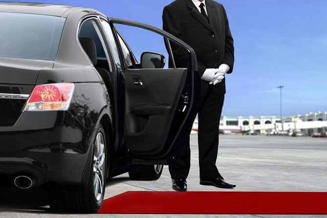 Private Transfer From Amsterdam Airport Schiphol to the Hague - Booking Confirmation and Tour Details