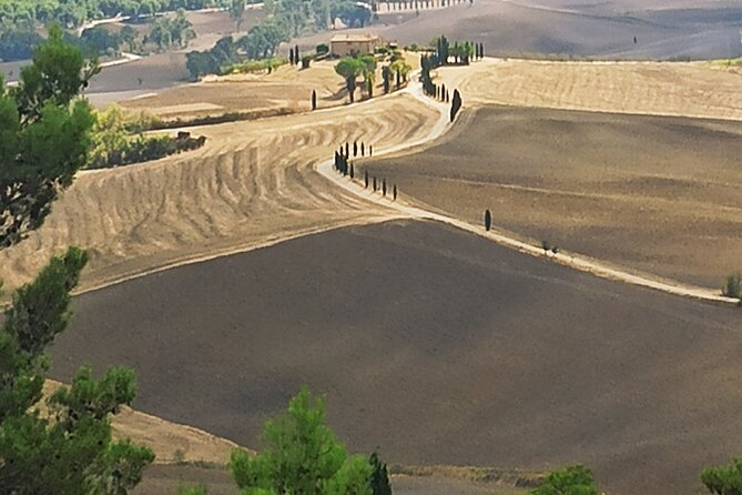 PRIVATE TRANSFER: From Assisi to Florence With Stops in Cortona & Montepulciano - Recap