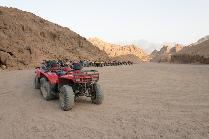 Private Transfer From Aswan to Marsa Alam or Vice Versa - Service Highlights
