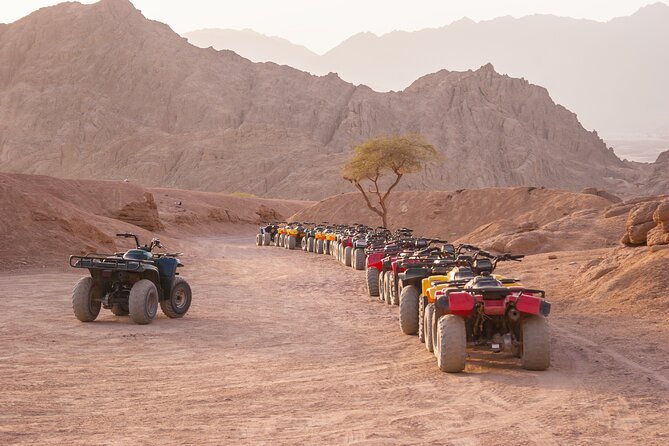 Private Transfer From Aswan to Marsa Alam or Vice Versa - Customer Reviews