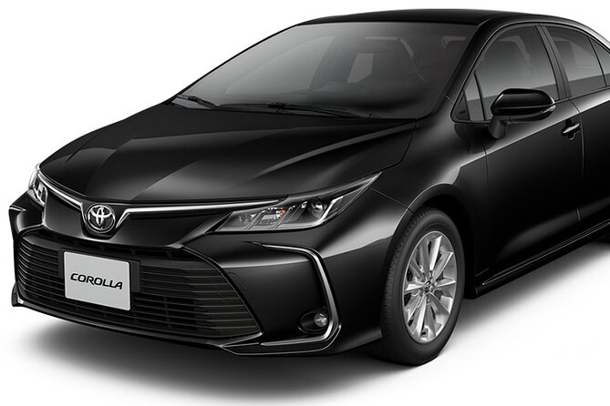 Private Transfer From Atocha Station to Madrid City Center - Pickup and Drop-off Details