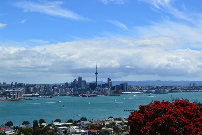Private Transfer From Auckland Airport To Rotorua - Operating Hours