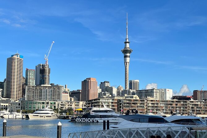 Private Transfer From Auckland Airport To Rotorua - Transport Highlights