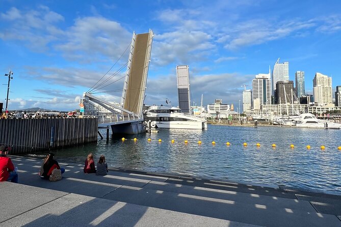 Private Transfer From Auckland Domestic Airport To Auckland City - Pricing and Booking Information
