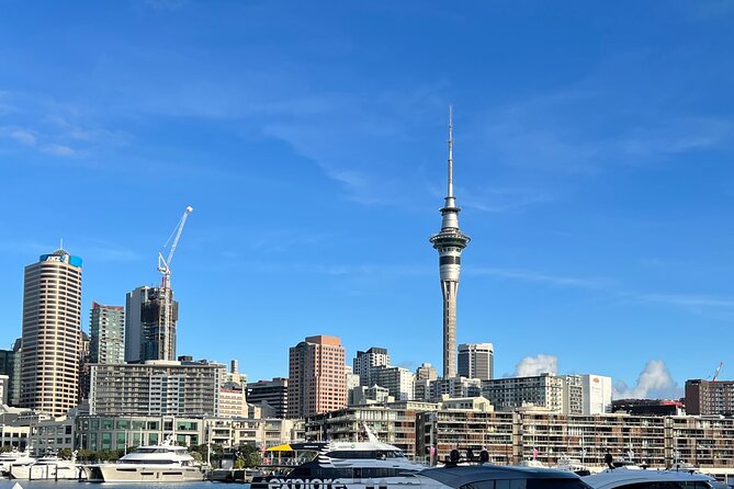 Private Transfer From Auckland Domestic Airport To Auckland City - Customer Experience and Reviews