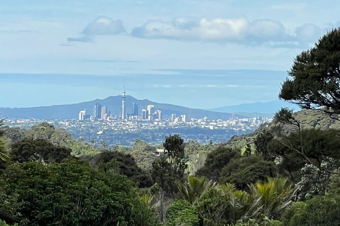 Private Transfer From Auckland International Airport To Auckland City - Accessibility and Participation