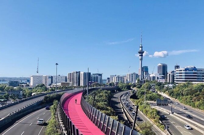 Private Transfer From Auckland International Airport To Auckland City - Smooth Transfer Experience