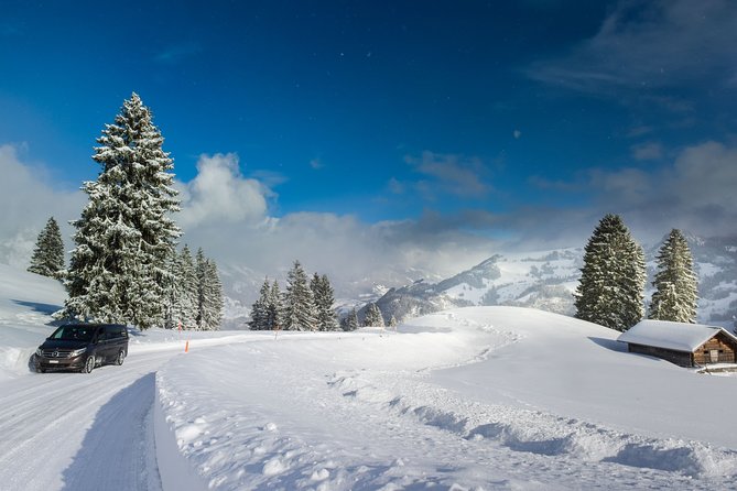 Private Transfer From Bad-Ragaz to Zurich Airport - Booking Confirmation and Availability