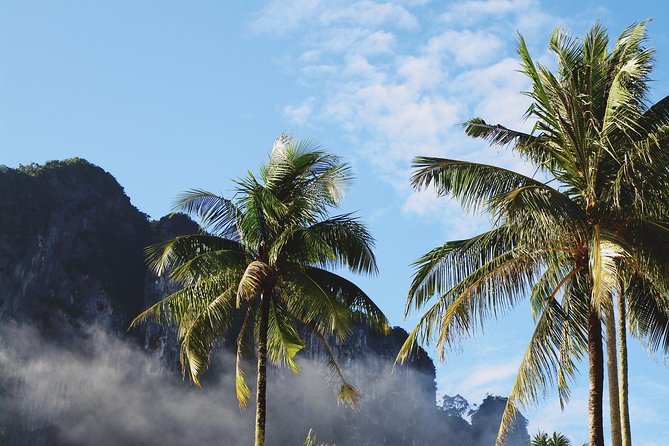 Private Transfer From Bangkok to Krabi With 2h of Sightseeing - Additional Information