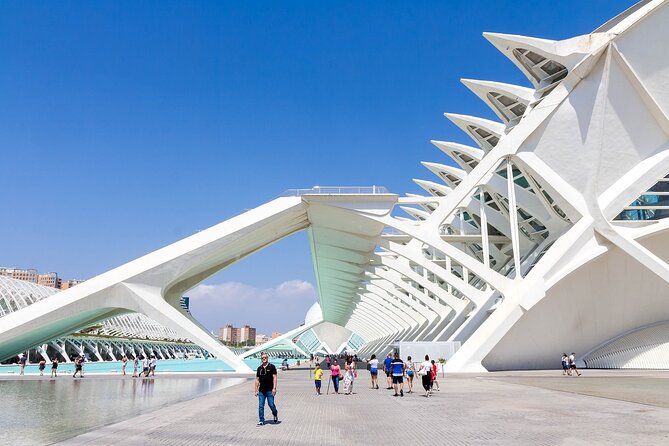 Private Transfer From Barcelona To Valencia With a 2 Hour Stop - Accessibility and Participation