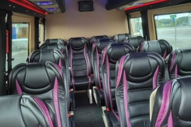 Private Transfer From Bergen Airport - Hotels/Port 1-14 Pax. - Vehicle and Driver Features