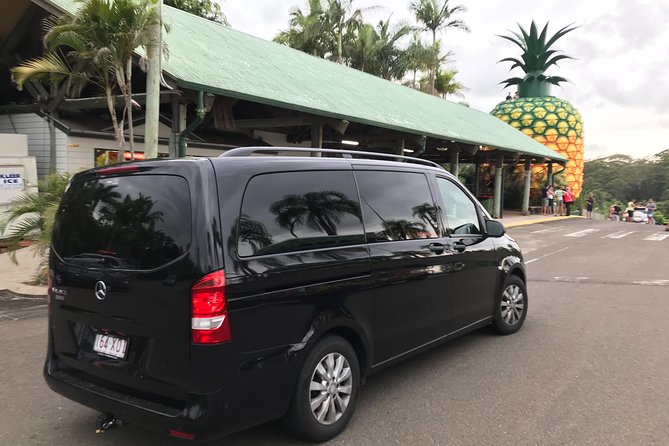 Private Transfer From Brisbane Airport to Noosa for 1 to 3 People - Service Animals and Strollers