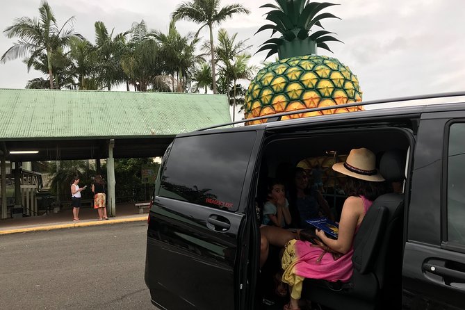 Private Transfer From Brisbane Airport to Noosa for 1 to 7 People/5 Medium Lugg - Customer Testimonials