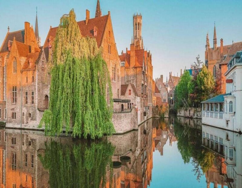 Private Transfer From Bruges to Brussels by Business Car - Pricing and Discounts