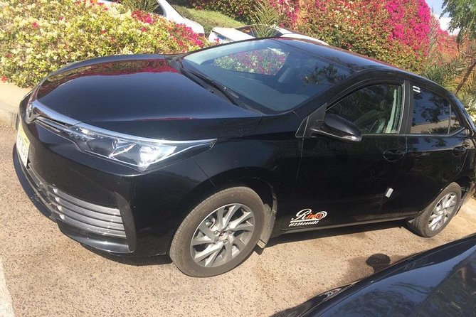 Private Transfer From Cairo Airport - Wheelchair and Stroller Accessibility