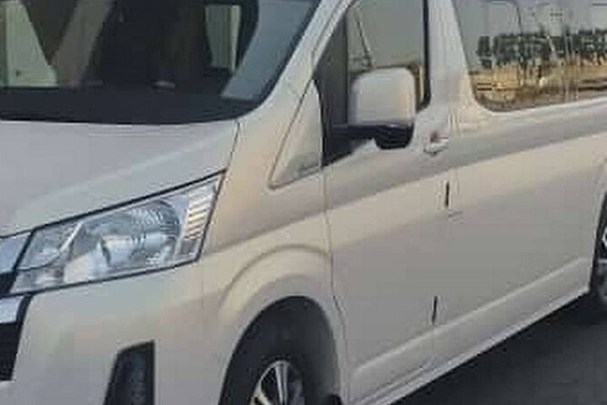 Private Transfer From Cairo Airport to Cairo or Giza - Accessibility