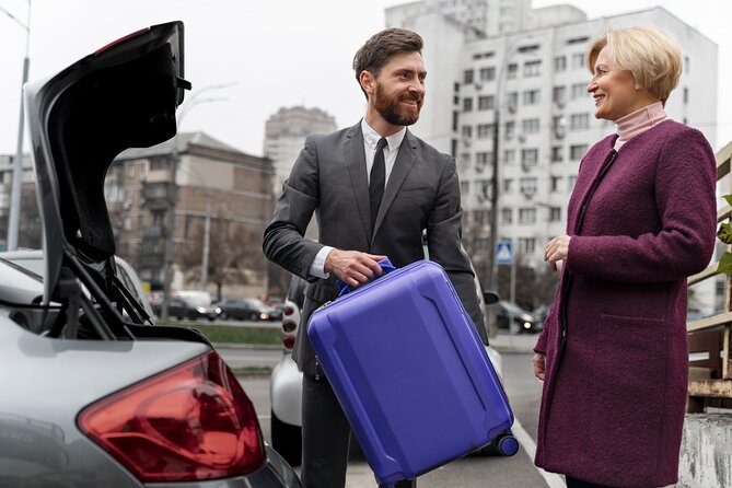 Private Transfer From Cairo Airport to the Hotel in Cairo or Giza - Pickup Information