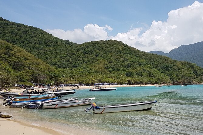 Private Transfer From Cartagena to Santa Marta - Driver and Communication