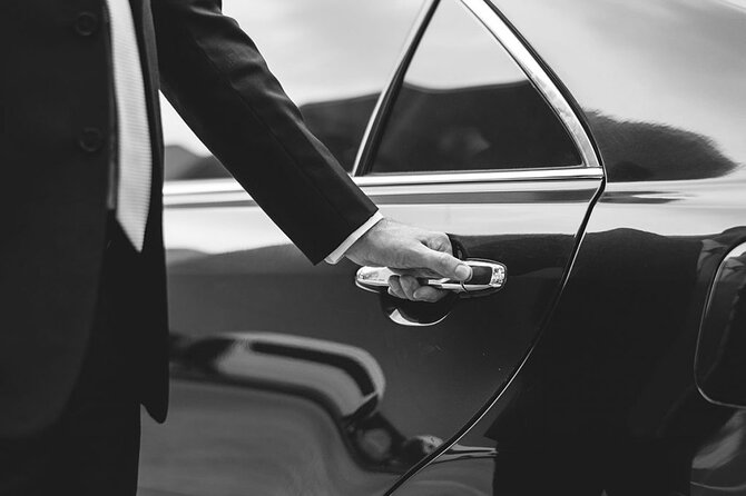 Private Transfer From Catania to Syracuse With Tour Options - Booking Information
