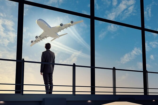 Private Transfer From Charle De Gaulle Airport to Paris - Inclusions