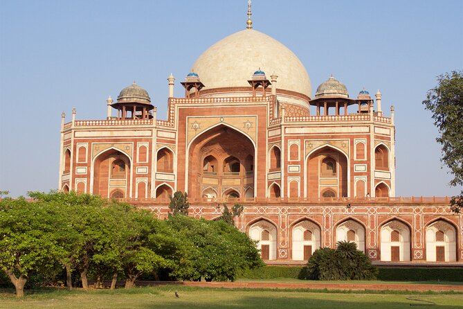 Private Transfer From Delhi Airport to Hotel in New Delhi - Customer Feedback and Ratings