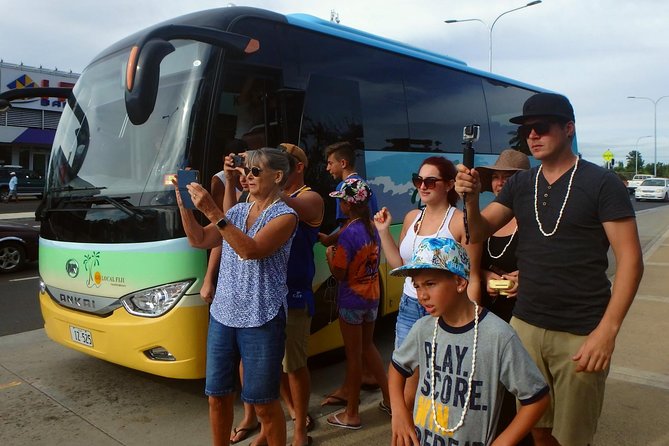 Private Transfer From Denarau Hotels/Double-Tree Fiji to Nadi Airport - Accessibility and Transportation