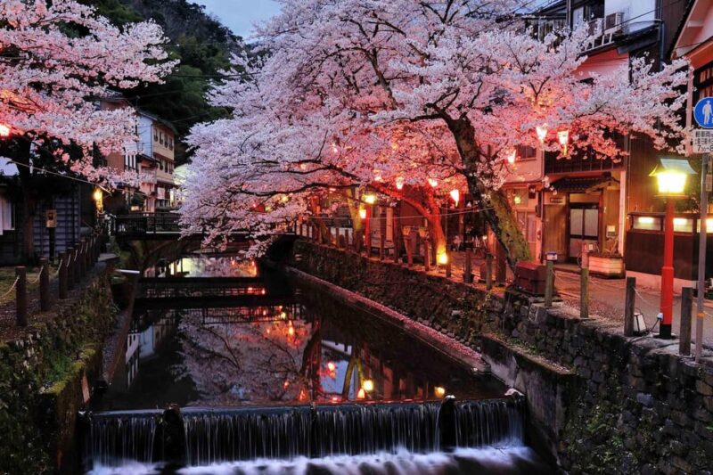Private Transfer From Downtown Tokyo to Hakone - Booking and Cancellation