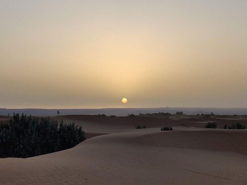 Private Transfer From Errachidia To Merzouga Desert & Erfoud - Personalized Experience Highlights