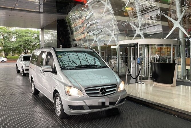 Private Transfer From Ezeiza Airport to Central Hotel and Port - Convenient Airport Pickup