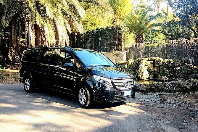Private Transfer From Fiumicino Airport to Rome - Availability and Schedule
