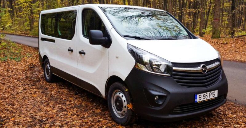 Private Transfer From Giurgiu Port to Bucharest - Driver Information