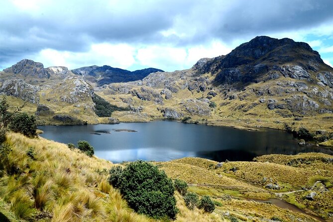 Private Transfer From Guayaquil to Cuenca - Key Points
