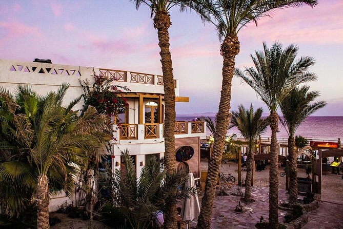 Private Transfer From Hotel in Dahab to Sharm El Sheikh Airport - Reliable and Comfortable Transfer