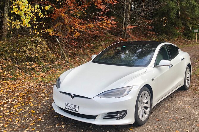 Private Transfer From Interlaken to Zurich Airport - Whats Included