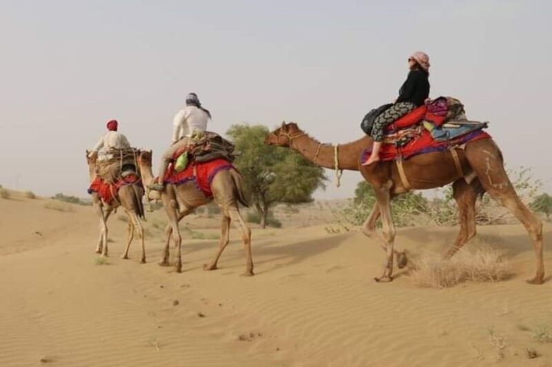 Private Transfer From Jodhpur to Jaisalmer With Osian Temple - Driver Information